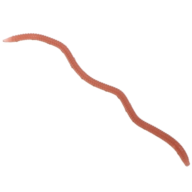2SS100262-6