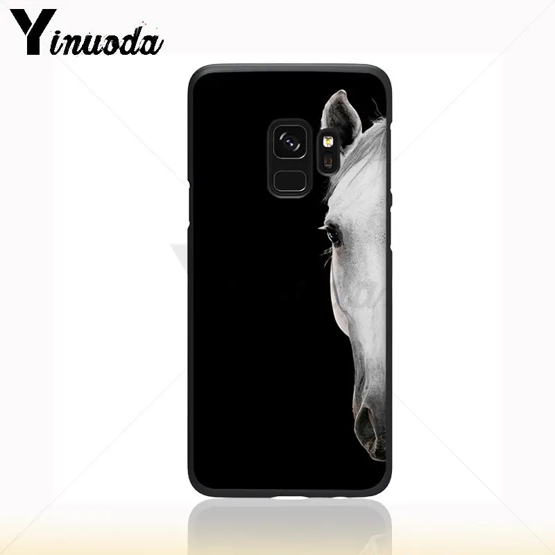 horse animal
