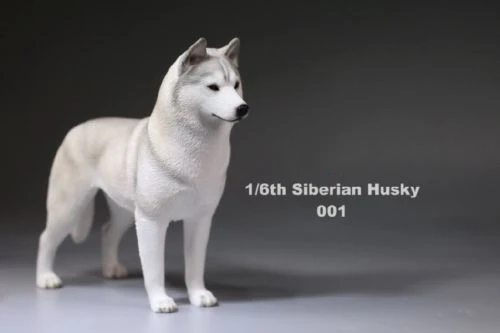 1/6(1") аксессуар для фигурки 1:6 Siberian Husky Simulation animals XVI 001 собачьи игрушки модели