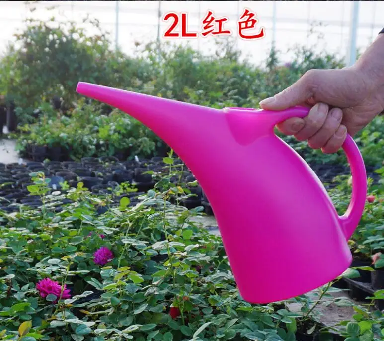 Lovely Green or Dark Pink Long Nozzle 2L Plasitc Water Cans for wateringWater Cans AliExpress