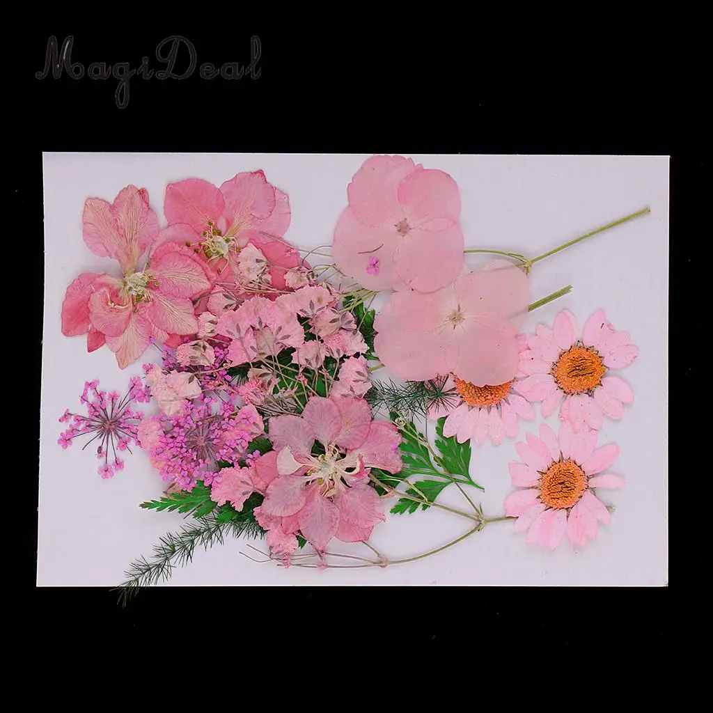 Beautiful Multiple Real Pressed Leaves Natural Dried Flowers for Art Craft Scrapbooking Card Making  Resin Jewelry Craft DIY