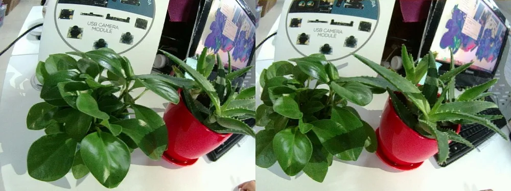 960P dual lens 1