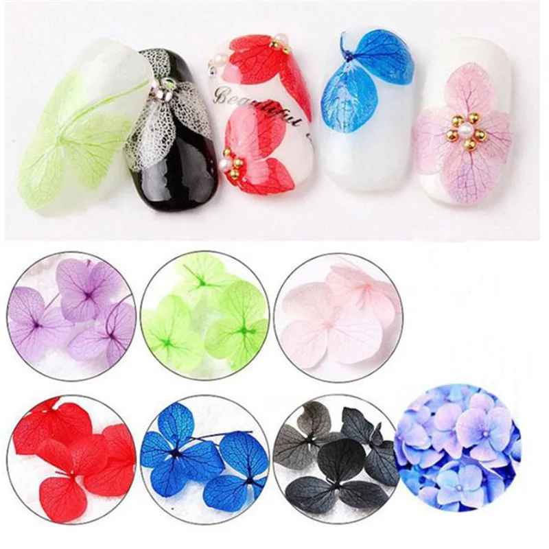 

12 Colors DIY Manicure Tools Set Real Petal Dry Dried Flower Stickers Design UV Gel Nail Art Polish Tips Jewelry Decoration New
