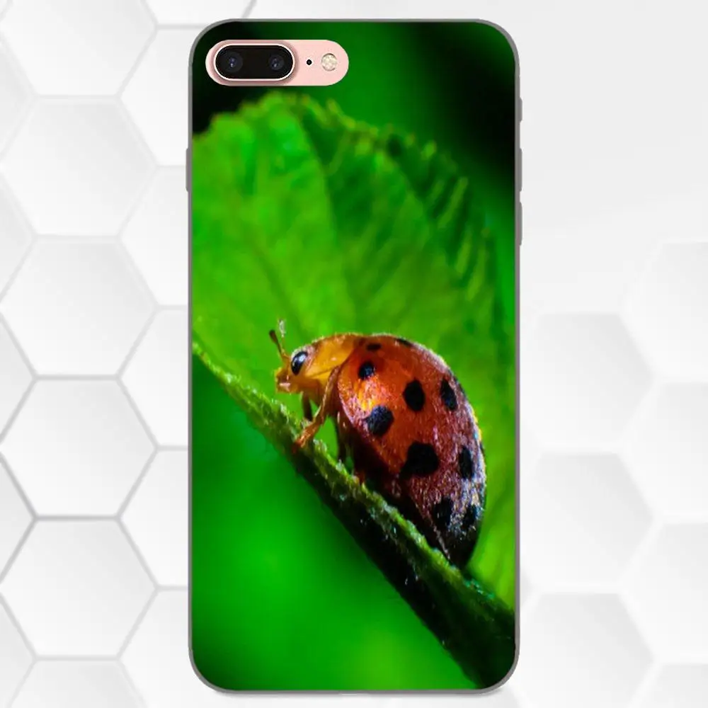 Милые красные Леди Баг для Huawei Honor Enjoy Mate Note 6s 8 9 10 20 Lite Play Pro P smart мягкие чехлы