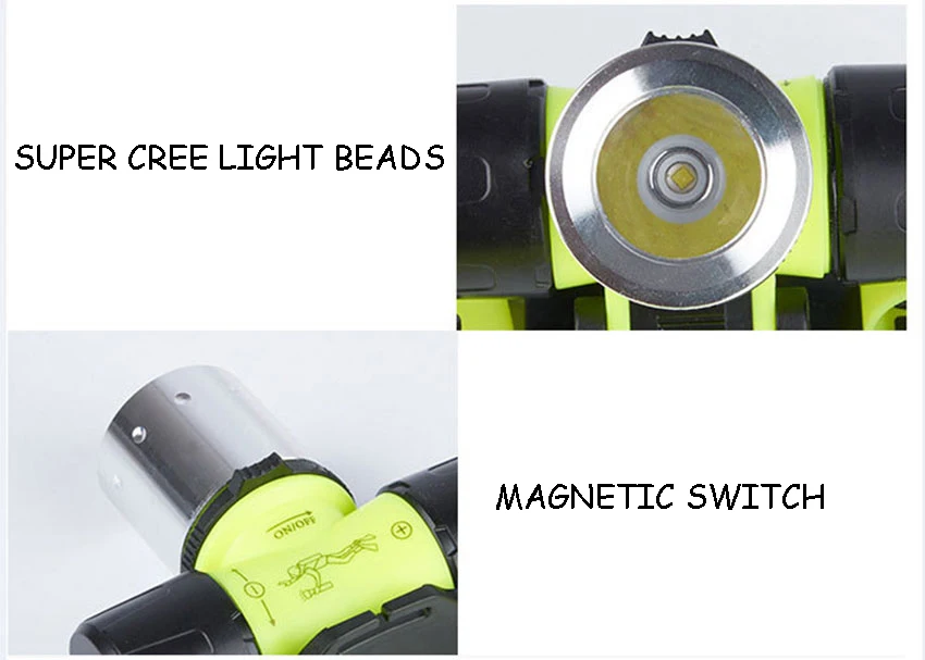 4401434646_1658628538
