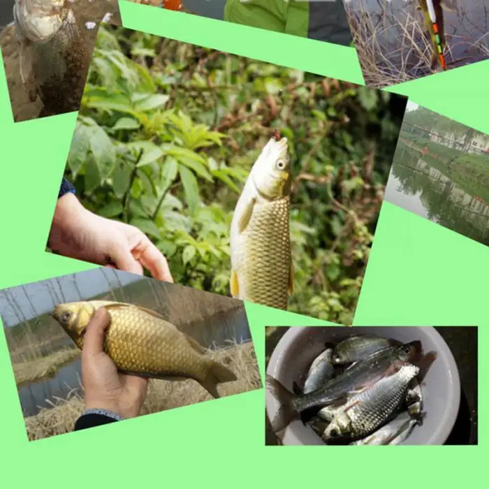 De Pesca para o Fluxo de Água Doce BHD2