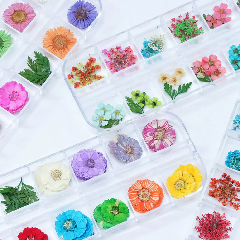 Смешанные 12 цветов натуральные сухие цветы DIY Дизайн ногтей Цветочные Декорации аксессуары для ногтей украшения Декоративный Лак для