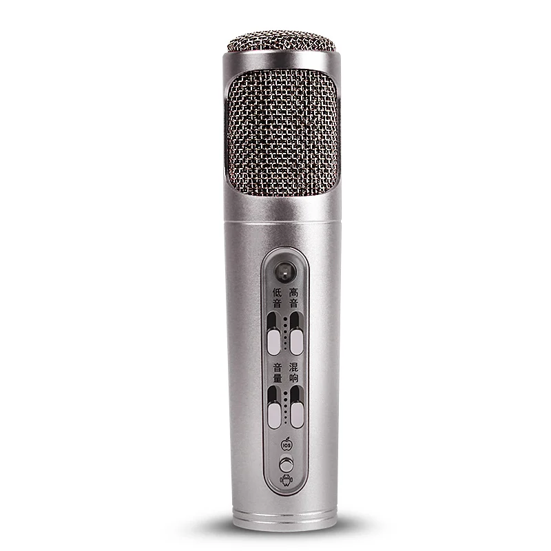 SikkiS Girl Mobile Computer Microphone Record Sing