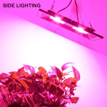 

Waterproof IP67 COB Led Grow Light Full Spectrum 200W Ultra-Thin LED Growing Lamp for Vegetables Bloom Indoor Outdoor Plant