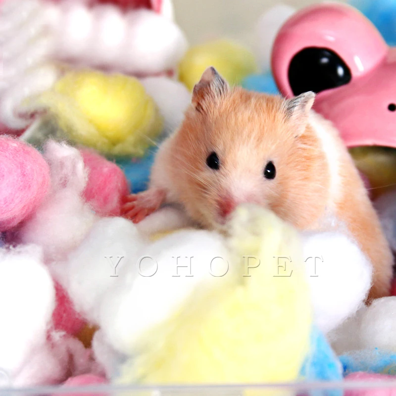 Игрушка для домашних животных Гвинеи свинка хомяк домик кровать Сирия