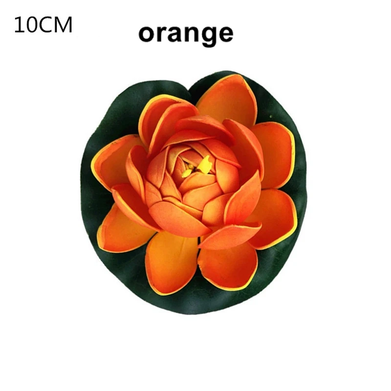 10cm (10)