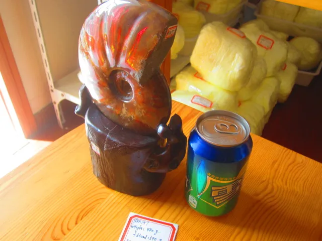 Best Price 880g(1.93 lb) Iridescent Ammonite Ammolite Specimen Fossil Madagascar NRA197