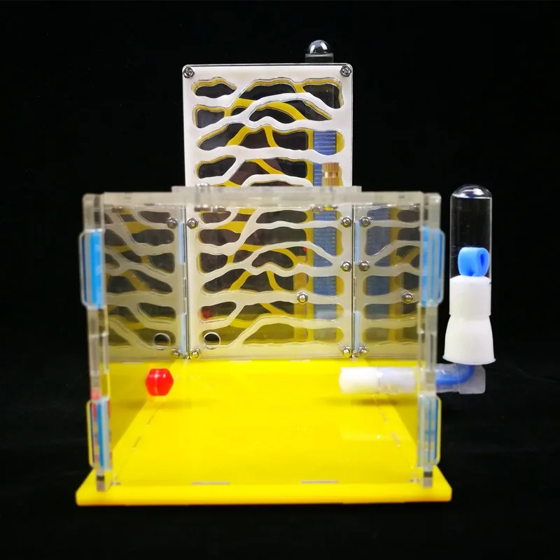 Новинка, Т-образное гнездо муравьев, живой муравей, для просмотра места обитания, игрушечный муравей, гнездо, акриловое, для фермы, B1, для детей, класс биологии, игрушка, Granja De Hormigas Hormiguero