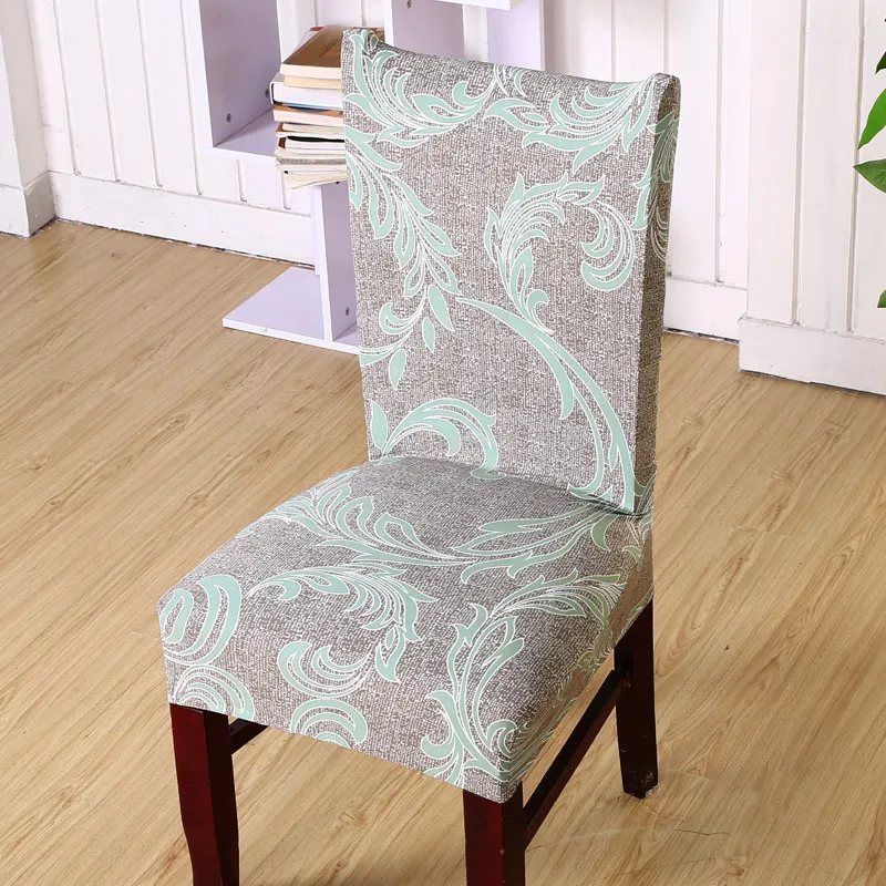 A008color24