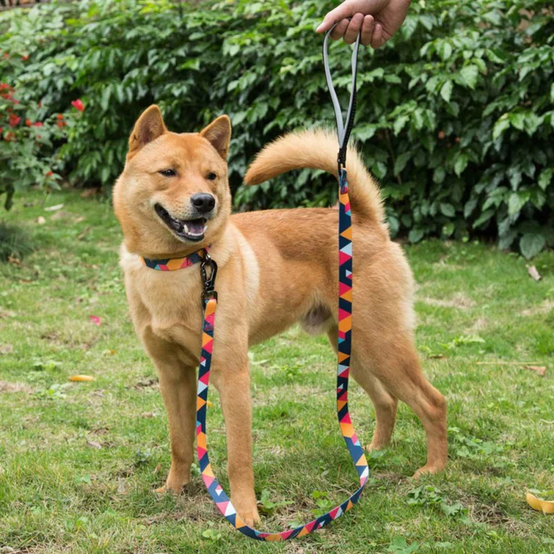 Милые Adjustbale модные уникальные Pet нейлон Colorblock ромб поводки цепочки и ожерелья для щенка собака открытый носить украшения