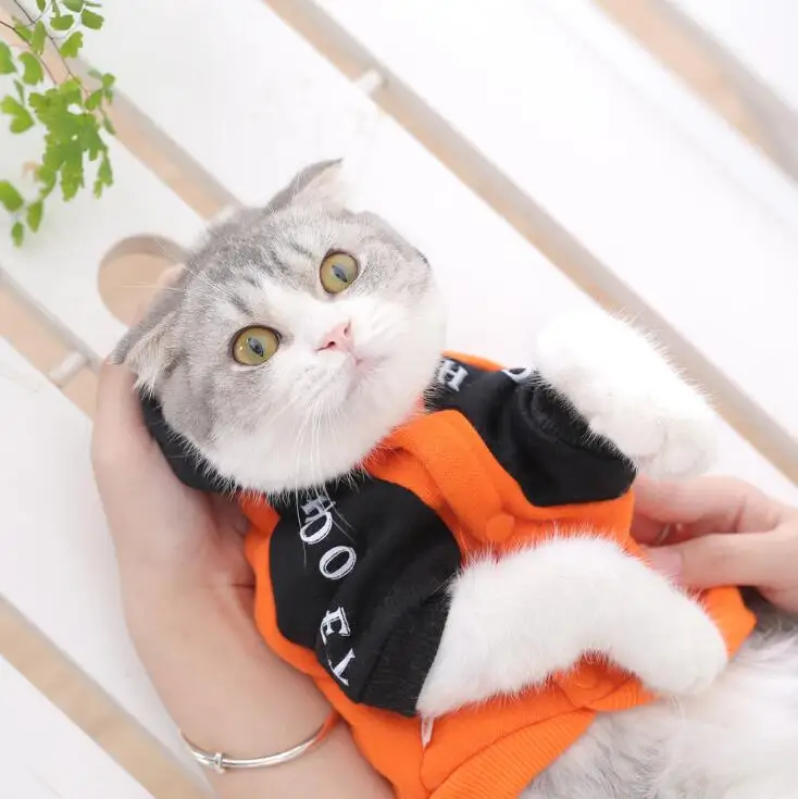 Распродажа оранжевый/белый осень зима толстовки для питомцев череп кошка пальто Одежда для кошек Одежда для собак одежда Teddy Appreal