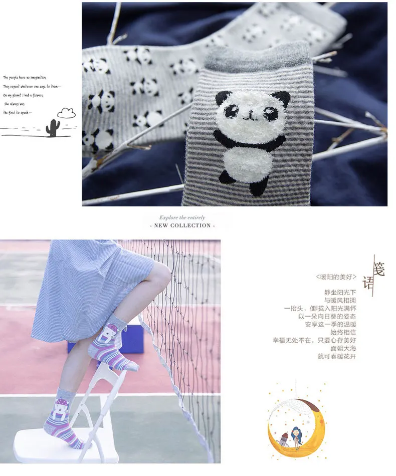 SC5 (6)