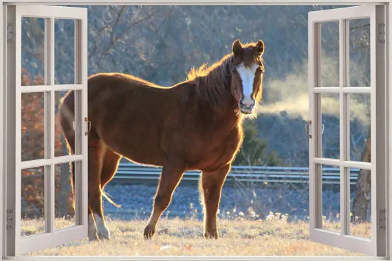 il_570xN.1376655221_ep7n