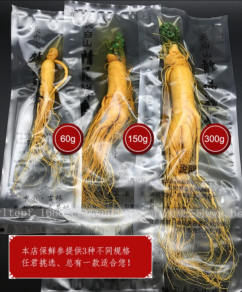 Changbai Top Grade Fresh Ginseng Root Vacuum Pack Panax Fresh Ginseng Root Body Relaxation