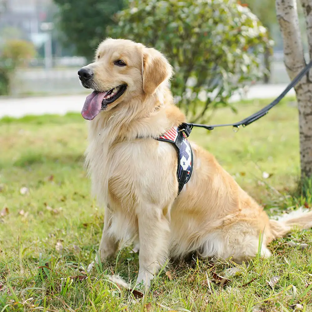 Pet Products Dog Harness For Small Medium Large Dogs Big Puppy Adjustable Dog-Harness Collar Leash Vest Bulldog Chihuahua K9 Pets Accessories  (14)