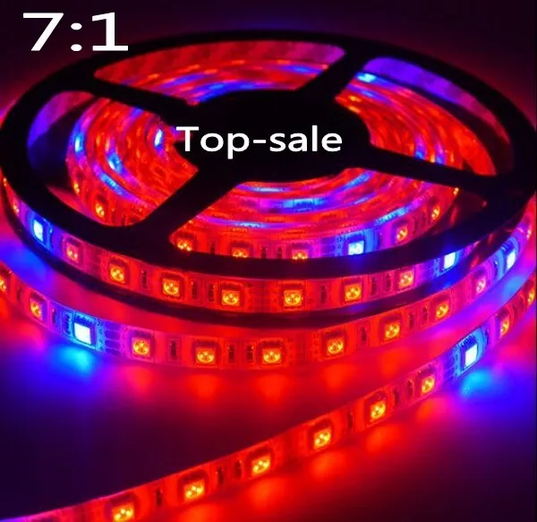 Join. agree Leg grow light strip thanks Apologise, Leg grow light strip know site