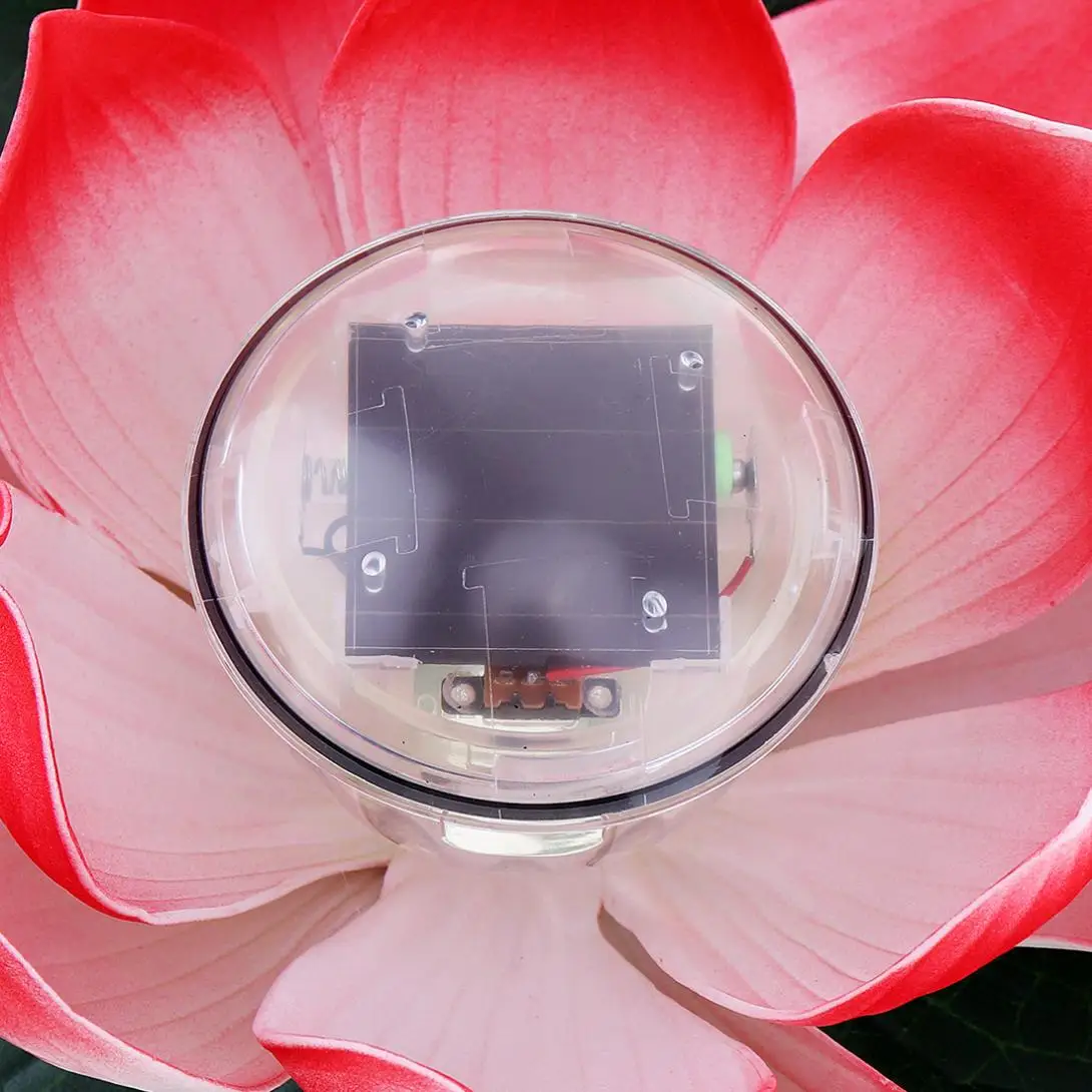 22453-description-8-l2.jpg
