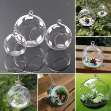 " /4"/" прозрачный настенный цветок стеклянная ваза для растений Аквариум Террариум