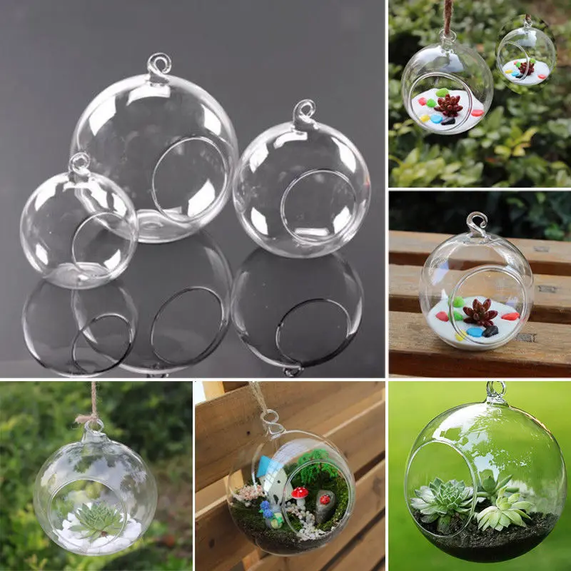 

3"/4"/6" Transparent Wall Hanging Flower Glass Planter Vase Fish Tank Terrarium