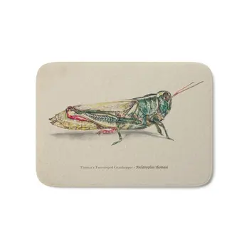 

Thomas's Two-striped Grasshopper - Melanoplus Tomasi Bath Mat 21" x 34" Printed Carpets Anti Slip Modern Kitchen Rugs Home Decor