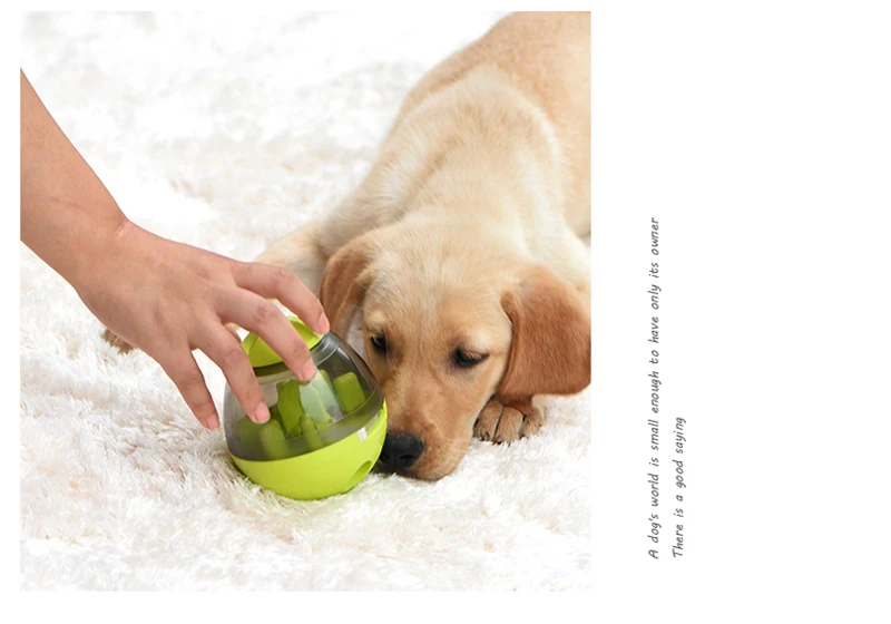 Игрушки для собак Игрушки для домашних животных Прямая поставка от производителя для дрессировки собак стакан с отверстием для игры в мяч кошки укус интерактивная игрушка для жевательной щенки продукты
