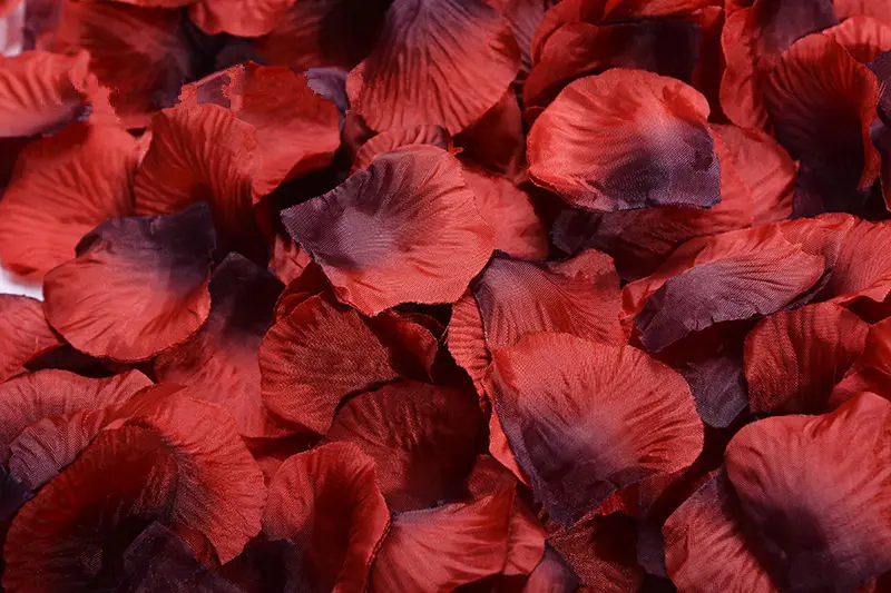 2382-31-10pcs-dark red-