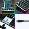 Mouse & Keyboards