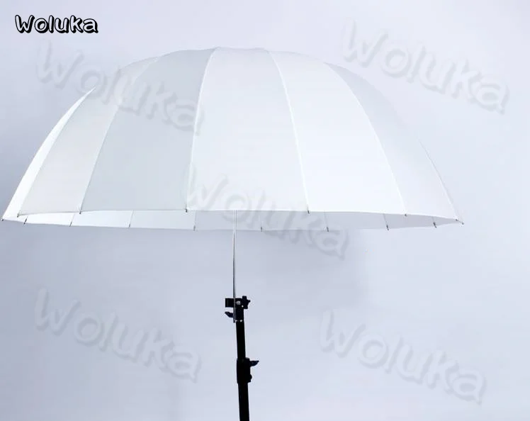 36020190108095507668