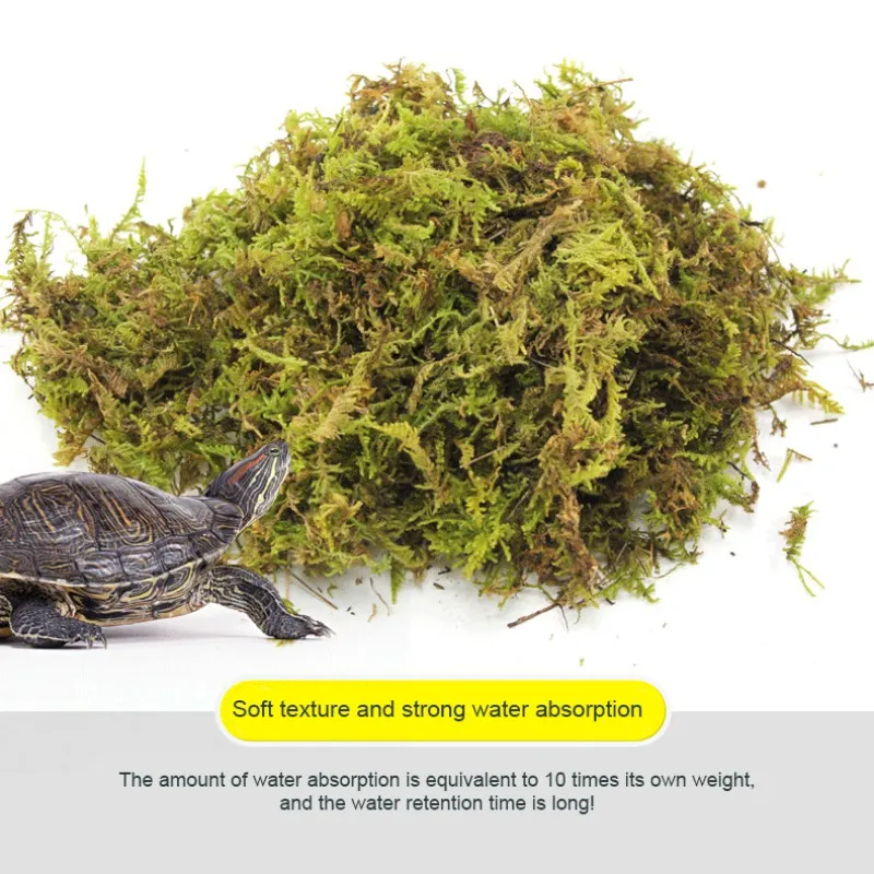 

Reptile Water Moss Decor Natural Moisturizing Moss Aquarium Plant Terrarium Habitat Moss Substrate Reptile Climbing Cushion