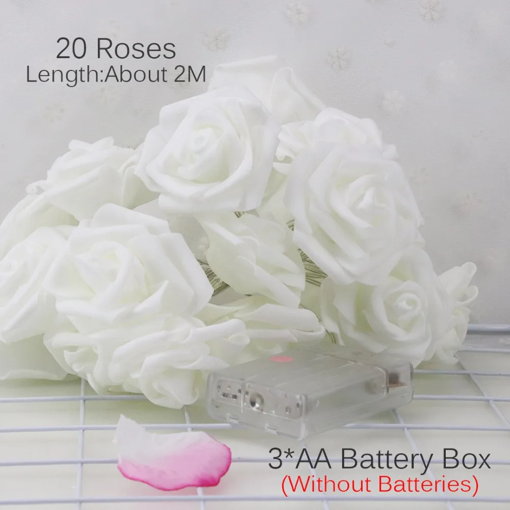 LL552-AA20D (13)