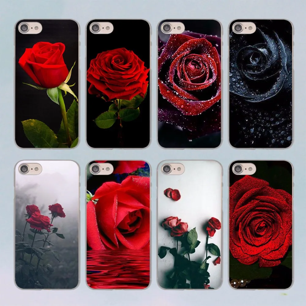 Red Rose Flowers Hd Wallpaper Design Transparent Clear Hard Case
