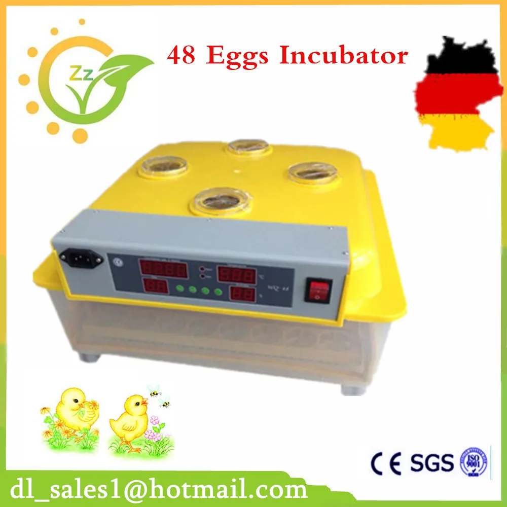 best home incubator for chicken eggs best home incubator for chicken eggs