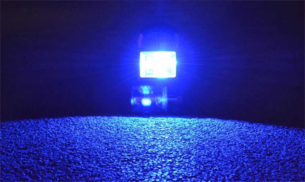 50WflXQ-002
