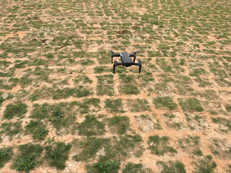 8745915924_878895613