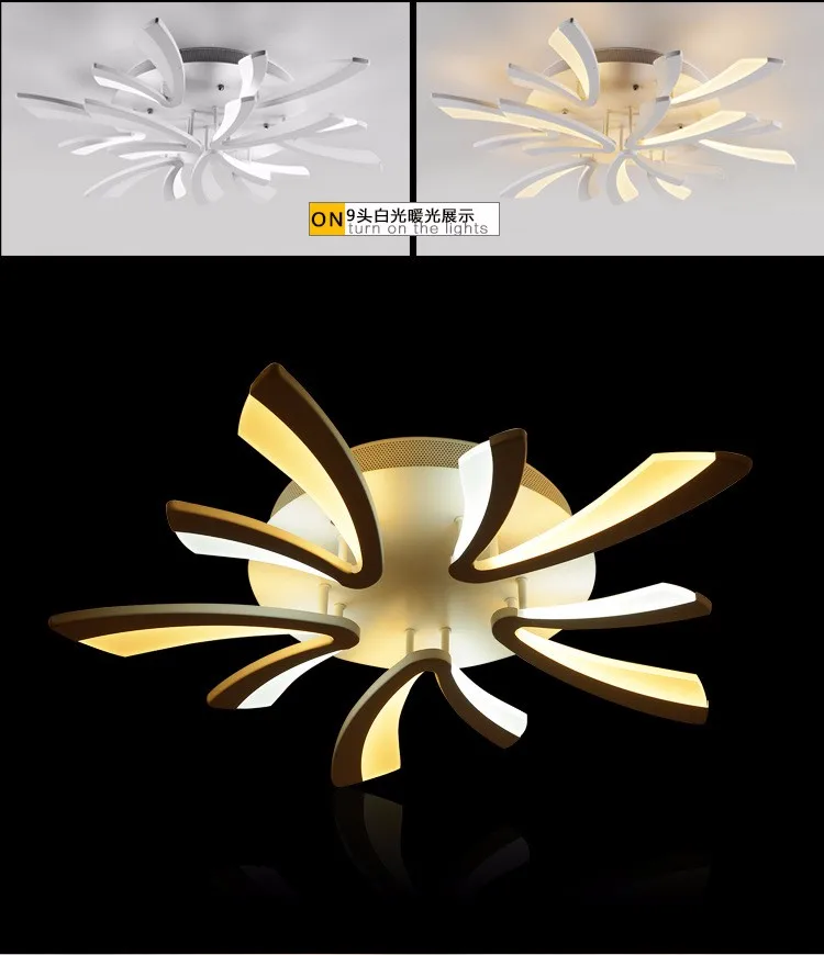 3504206870_1019503663