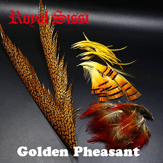 NEW 1set natural golden pheasant feathers mix Golden pheasant head crest  tippets&center tail feathers fly tying feather material - AliExpress