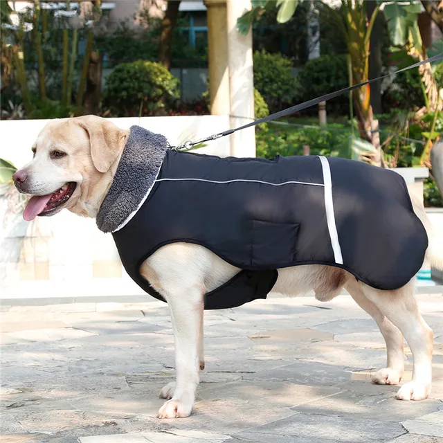 Winter Outdoor Dog Jacket  4