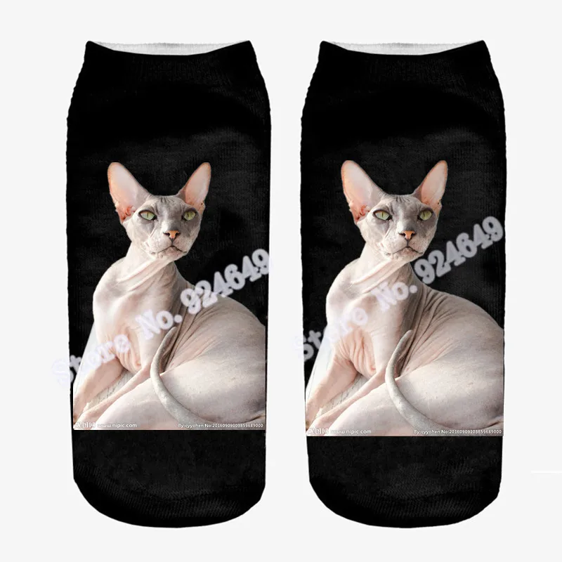 5553190_103859689000_2__