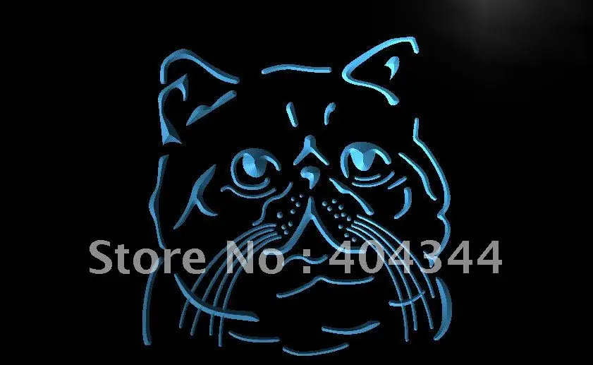 LB986 Exotic Shorthair Cat Breed Pet Shop Light Sign home decor shop