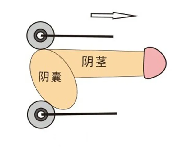 3426527276_1729638311