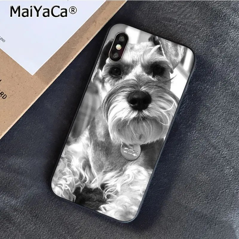 Lovely Dogs Schnauzer 