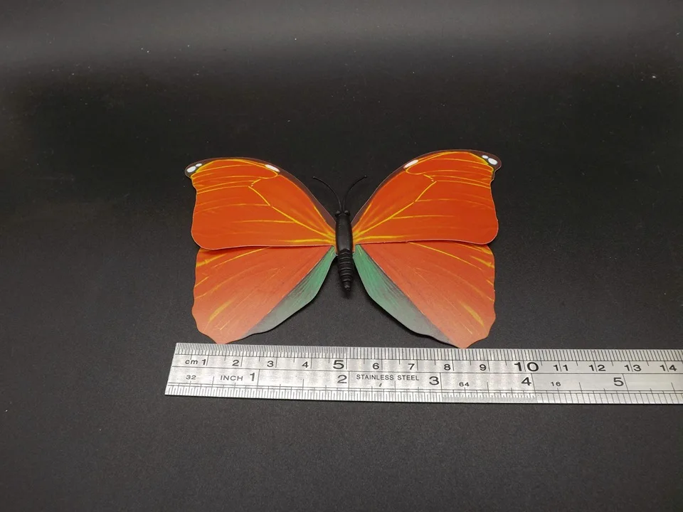 I226-Butterfly (9)