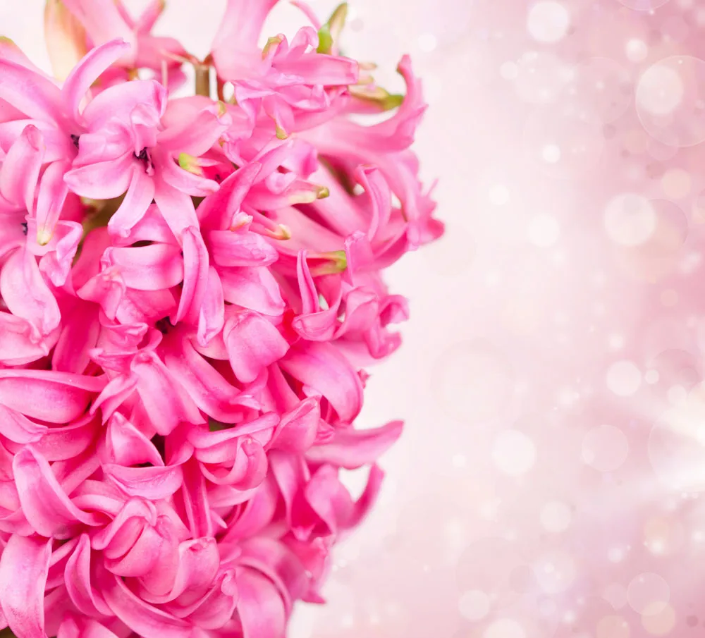 

10x10ft Facula theme Vinyl Muslin Photography Backdrops Prop  Photo Studio Background  TF26