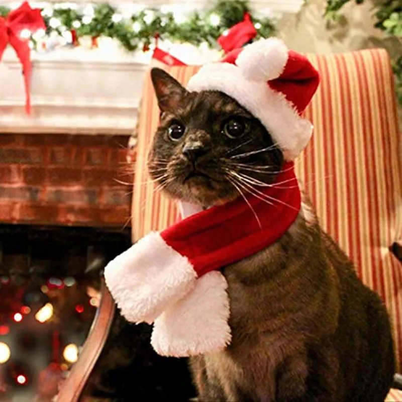Buy Gomaomi Pet Adjustable Christmas Santa Hat + Scarf