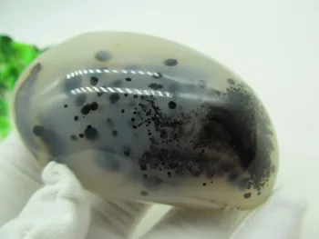 

Rare Beautiful Unique Natural Aquatic agate Mineral Agate Stones Fengshui Reiki Healing Energy Specimen Collection